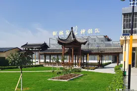 全网最贵的一羽天落鸟，御林军神领队百万赎回！图片