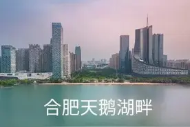 合肥有何实力，被称霸都？图片