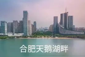 合肥有何实力，被称霸都？图片