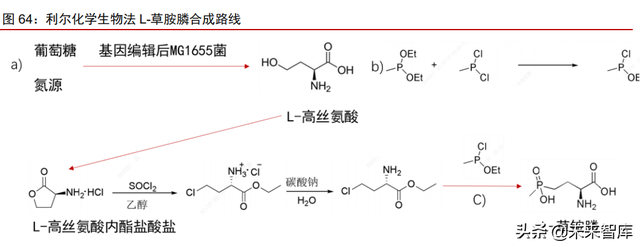 合成生物行业深度报告：合成生物学蓬勃发展，市场空间广阔
