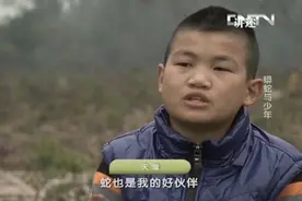 2013年，男孩与蟒蛇同居8年，蟒蛇趁人不注意跑到邻居女孩床上图片