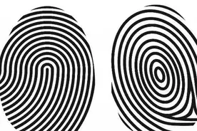 俗语“两手十个斗，吃穿不用愁”是什么意思？你手指上有几个斗？图片