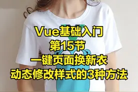 Vue基础入门，第15节 一键页面换新衣，动态修改样式的3种方法图片