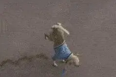 爆笑简短笑话 62个哄女孩开心的笑话图片