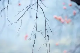 时光结茧，旧欢如梦，愿许秋风离别意，不负年华不负卿图片