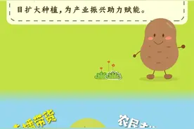 一颗土豆的自述图片