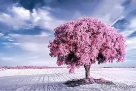 年轻女子千万不要迷恋五六十岁的大叔，因为除了钱你什么都得不到图片