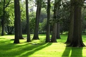 非常罕见的《森林报》图片