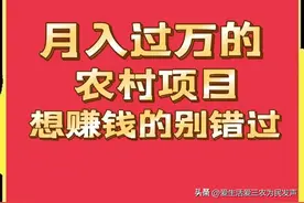 不怕吃苦、不怕丢人的农村人来做这些项目吧，月收入过万元不难图片
