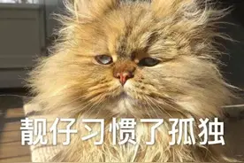 穷人家“考霸”第16次去复读：总想一步到位的，是弱者心态图片