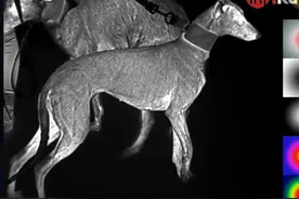 不到5000的最强热成像夜视仪天眼T3！小编替你提前开箱评测图片