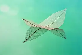 我就是个傻子说说句子图片