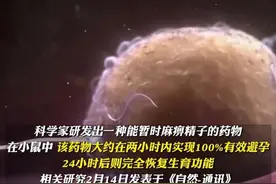 真的吗？科学家研发出超短效男性避孕药：30分钟见效1天内失效图片