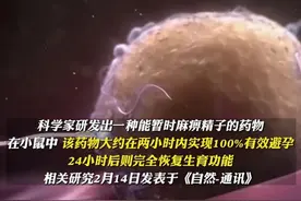 真的吗？科学家研发出超短效男性避孕药：30分钟见效1天内失效图片