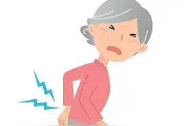 这三味药配伍：补肾、活血、安神，解决你肾气不足引起的腰膝酸软图片