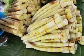 四月初一朔日，老人说“吃一宝，生意好”，一宝为啥要在朔日吃？图片