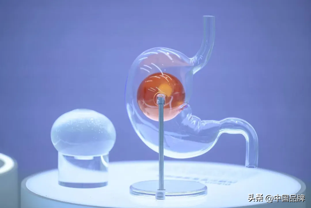 第八届进博会今日在上海开幕，剧透来了！