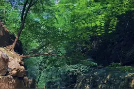 庄里居然也有这么烟雨蒙蒙绿林仙境的地方，还是个避暑的好去处图片