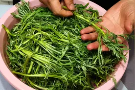 5月，遇到柳蒿芽别手软，买10斤存冰箱，从夏吃到冬，包饺子特香图片