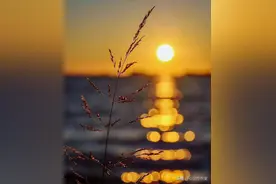 适合有了宝宝后发的走心文案图片