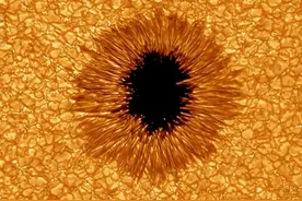 巨型太阳黑子“注视”着人类，个头是地球3倍大，危机在靠近图片