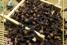 每天一味中药材～丁香图片
