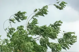 台风天，家里墙壁发霉发黑，别再用抹布擦了，教你一招，一步解决霉斑不伤墙体！图片