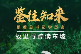 鉴往知来，跟着总书记学历史丨故里寻踪读东坡图片