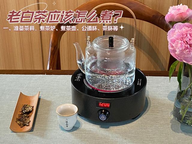 没有炖壶的养生壶怎么煮花胶 2026年没有养生壶怎么煮花茶