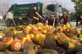 集装箱无法通关，上千吨水果烂在中越边境图片