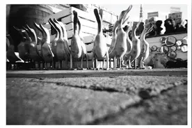 胶卷相机和拍立得的区别？使用辨别指南来教你图片