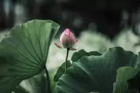 喜欢搞“暧昧”的男人，身上这3个细节藏不住，女人要多加小心图片