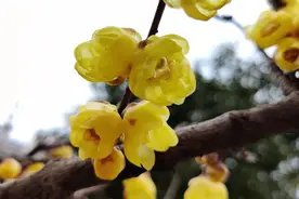 上午发工资和下午发工资到底有什么区别？图片