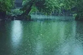 雨送黄昏花易落图片