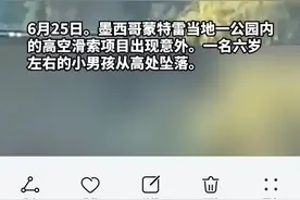 6岁男童玩高空滑索 安全带突然断裂 从12米高处坠入湖中幸存图片