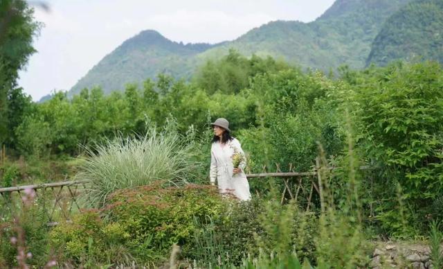 IT夫妇中年辞职，拿下1200㎡荒地归隐，如今第七年了