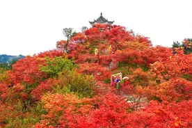 赏锦绣红枫，观云海日出，享星空露营.邂逅把天地染红的浪漫吧图片