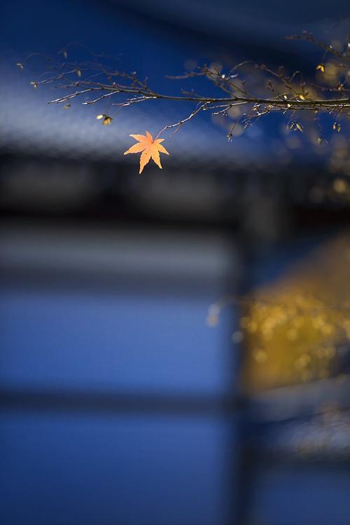 深夜伤感短文,寂寞的夜晚,伤感的心田 - 冷求网