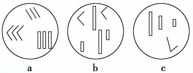 高中生物-变异育种及进化