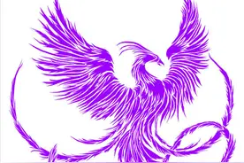 LT0：紫红国度Phoenicia图片