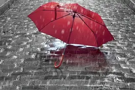 #分享壁纸#下雨天图片