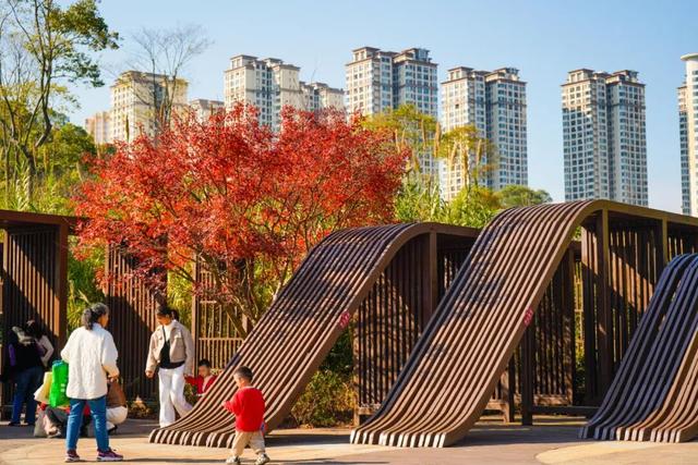 双龙生态公园：30余种彩叶植物，让“层林尽染”具象化