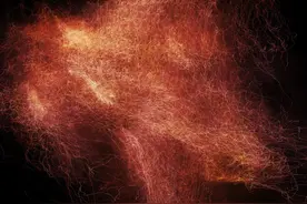 肾功能检查时，补体是什么？C3、C4补体低会怎样？图片