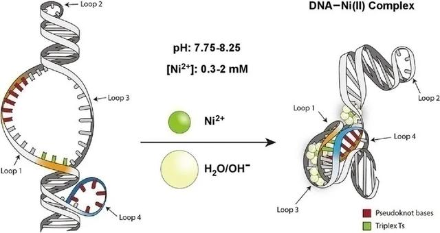 复旦上医11月科研成果一览