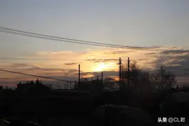 农村最怕听到的4种叫声，不是灾就是祸，哪4种？你听到过吗？图片