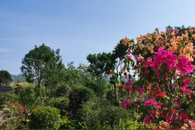 怎样放下丈夫曾有外遇这个心结图片