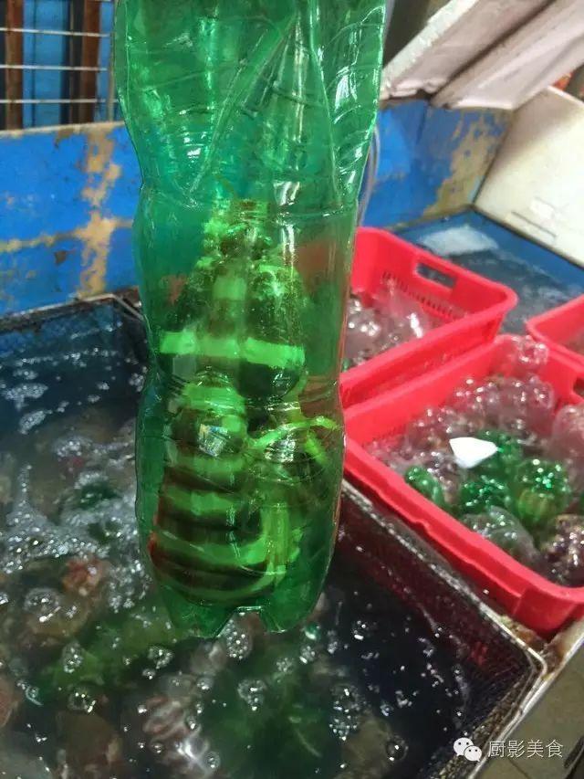 花胶选几级的 花胶等级顺序鱼胶排名大全