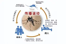 登革热进入流行季，贵阳疾控专家提醒→图片