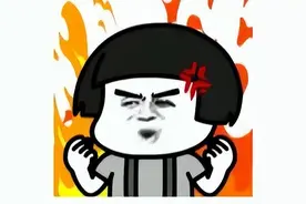 一辆小面包塞了17个娃图片