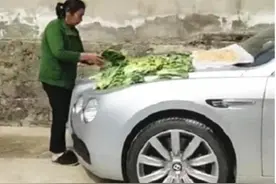 大妈在400万宾利上晒咸菜，车主强忍怒火，想管但是不敢图片